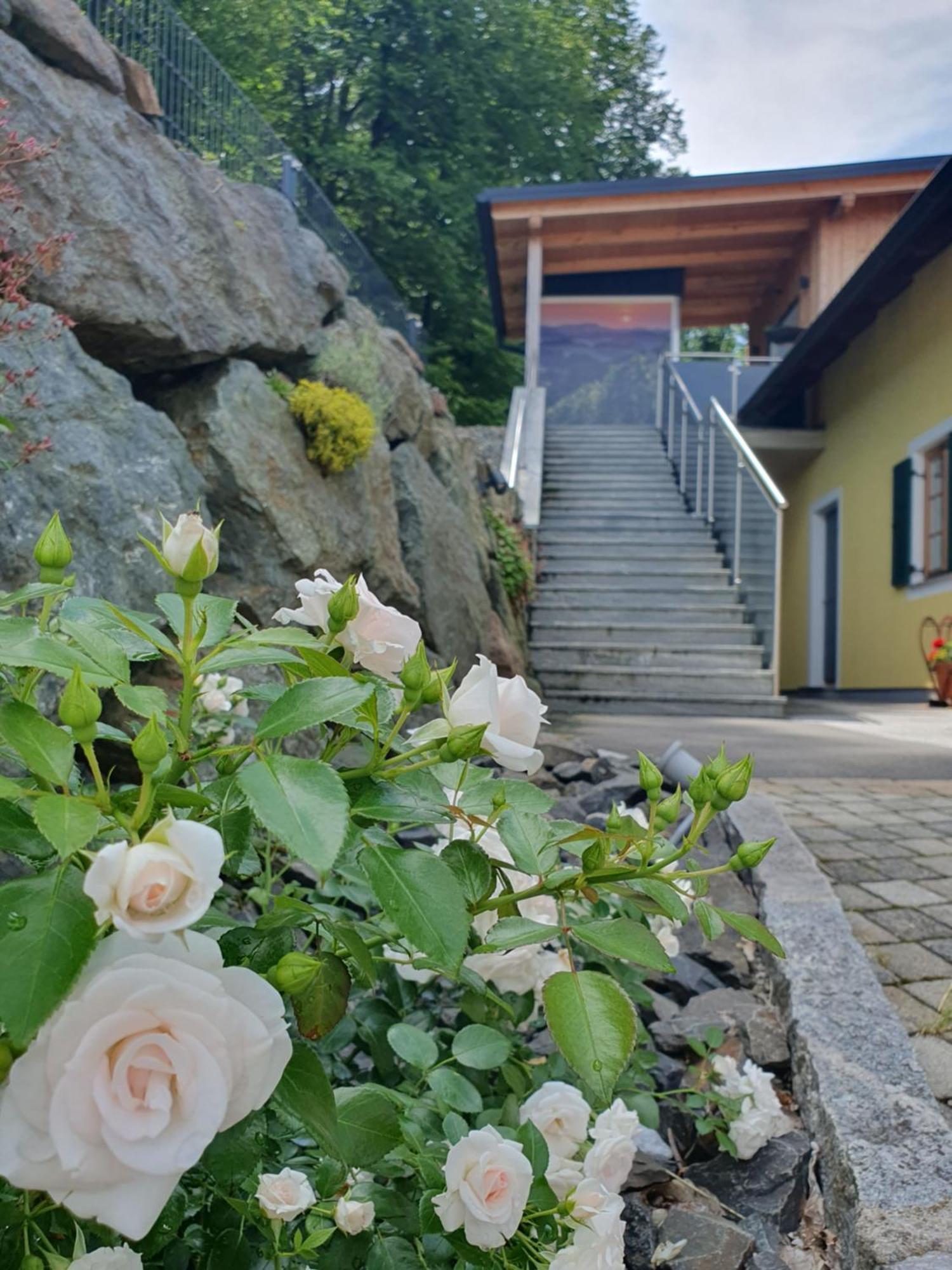 Weingut Pugl Daire Leibnitz Dış mekan fotoğraf